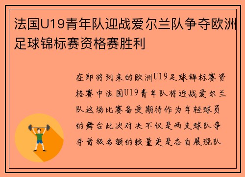 法国U19青年队迎战爱尔兰队争夺欧洲足球锦标赛资格赛胜利